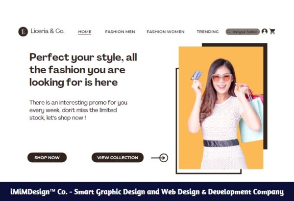 Web Design And Development E-Commerce Package 2